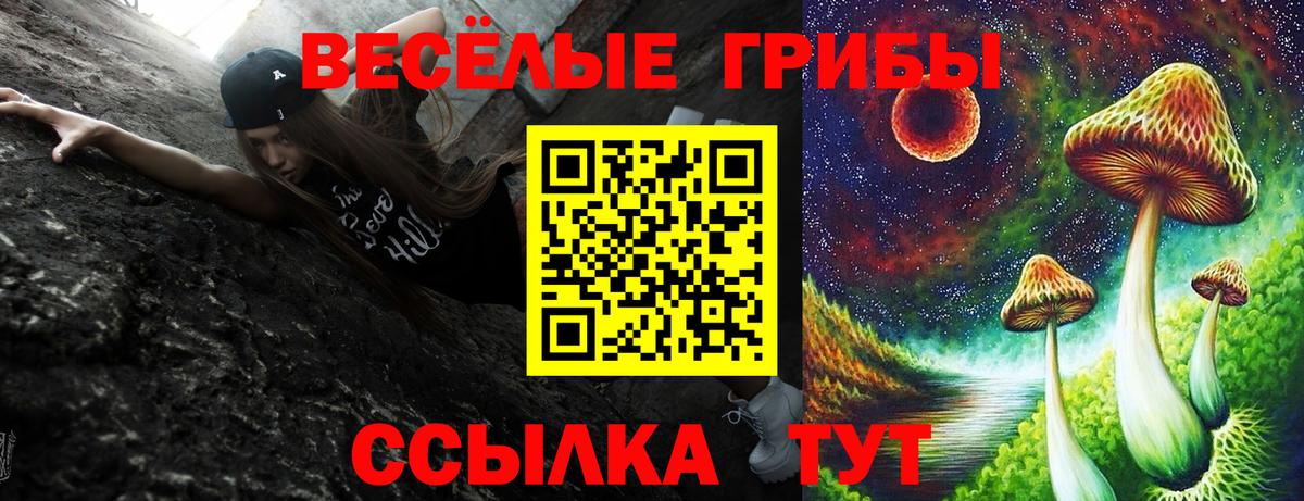 Галлюциногенные грибы Cubensis  Галлюциногенные грибы мицелий  Вход с VPN  Лангепас 